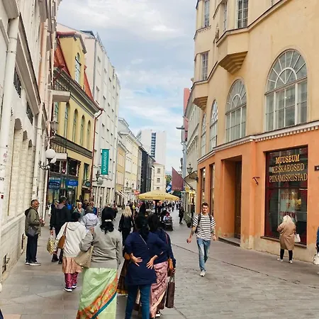 Oldtown Next Of Town Hall Square アパート Kesklinn