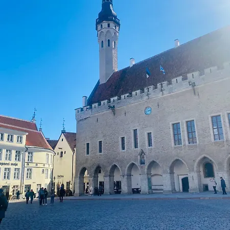 Apartman Oldtown Next Of Town Hall Square Kesklinn